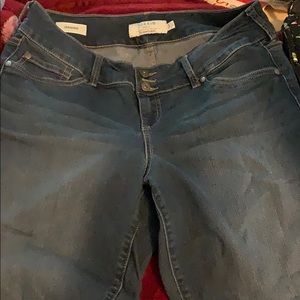 Torrid Jegging 16R